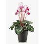 Ciclamen artificial VERIANA en maceta decorativa, blanco-rosa, 30 cm
