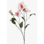 Rama decorativa de hibisco TRUGEN con flores, blanco-rosa, 85 cm