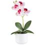 Orquídea Phalaenopsis de tela WERKAN, maceta de cerámica, raíces, blanca y rosa, 27 cm
