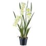 Flor decorativa Cymbidium KLORVEN, raíces, blanco-verde, 80 cm