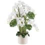 Arreglo floral artificial de orquídeas y filodendros CASTOL, sansevieria, maceta decorativa, blanco, 120 cm