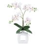 Orquídea Phalaenopsis artificial DRUKLON, jarrón de cerámica, raíces, blanco-rojo, 40 cm