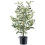 Árbol decorativo olivo SELVO con frutos, tronco artificial, 70 cm