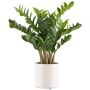 Planta artificial Zamioculcas BROLKE, maceta decorativa, 80 cm