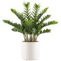 Planta artificial Zamioculcas BROLKE, maceta decorativa, 85 cm