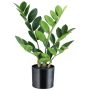 Planta artificial Zamioculcas BLUHAR, 35 cm