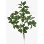 Rama decorativa Schefflera PARVANEH, verde, 110 cm