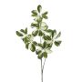 Rama decorativa Schefflera PARVANEH, verde y blanco, 110 cm