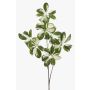 Rama decorativa Schefflera PARVANEH, verde y blanco, 110 cm