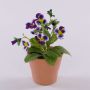 Flor artificial decorativa violeta BAHNY en maceta de terracota, violeta-lila, 17 cm