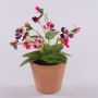 Flor artificial decorativa violeta BAHNY en maceta de terracota, rosa-blanca, 17 cm