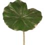Hoja artificial de nenúfar MINDA, verde dorada, 70 cm