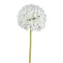 Flor artificial Allium KLATE, blanco, 90 cm