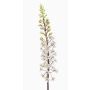 Flor artificial Steppenkerze SCHENRA, blanco-verde, 95 cm