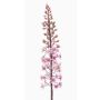 Flor artificial Steppenkerze SCHENRA, rosa, 95 cm