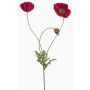 Rama decorativa de amapola SCHUNRA, rosa oscuro, 75 cm