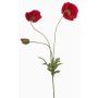 Rama decorativa de amapola SCHUNRA, roja, 75 cm