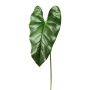 Hoja artificial flor flamingo LIOXO, verde, 70 cm