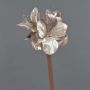 Amaryllis de terciopelo KIRSTY, beige-rosa, 70cm, Ø9cm