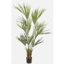 Palmera kentia artificial PAIGE, 155cm