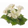 Begonia artificial BIRMA en varilla de ajuste, crema, 20cm, Ø3-5cm