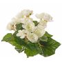 Begonia artificial BIRMA en varilla de ajuste, crema, 20cm, Ø3-5cm