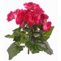 Begonia artificial BIRMA en varilla de ajuste, fucsia, 20cm, Ø3-5cm