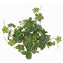Arbusto de parthenocissus artificial AMYCUS en varilla de ajuste, frutas, verde, 35cm