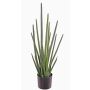 Sansevieria Cylindrica artificial ASTARIA, verde, 95cm