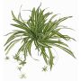 Lirio verde artificial DEMIAN en varilla de ajuste, verde-blanco, 50cm