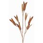 Rama de lirio artificial ELFIDA, marrón, 80cm, Ø2-3cm