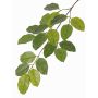 Rama de higuera artificial ERASMOS, difícilmente inflamable, verde, 80cm