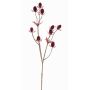 Cardo de plástico LOUKAS, rojo burdeos, 45cm, Ø1-1,5cm