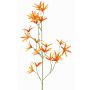 Tweedia solanoides artificial PALLAS, naranja, 70cm, Ø5cm
