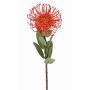 Protea artificial BAILY, naranja, 55cm, Ø10cm