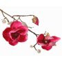 Magnolia artificial KOSTAS, rosa, 55cm, Ø5-8cm