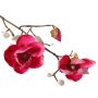 Magnolia artificial KOSTAS, rosa, 55cm, Ø5-8cm