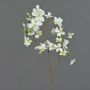 Cornus artificial NARIUS con flores, crema, 85cm
