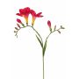 Freesia artificial MARUSHA, fucsia, 65cm, Ø7cm