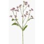 Eupatorium artificial KORALIA, lila, violeta, 80cm, Ø4-7cm