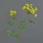 Ammi majus artificial KALIXTUS, verde, 75cm, Ø7-13cm