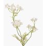Zanahoria silvestre artificial KALOMIRA, blanca, blanco, 85cm, Ø6-10cm
