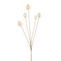 Cápsula de amapola artificial FILOMELA, crema-beige, 75cm