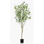 Eucalipto artificial ILONKA, tronco artificial, verde, 195cm
