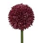 Flor decorativa Allium MENKES, rojo burdeos, 65 cm