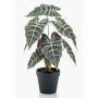 Alocasia Sanderiana artificial UTHER, verde-blanco, 40cm