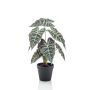 Alocasia Sanderiana artificial UTHER, verde-blanco, 40cm