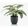 Calathea Zebrina artificial VAIDA en maceta decorativa, verde-blanco, 40cm