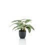 Calathea Zebrina artificial VAIDA en maceta decorativa, verde-blanco, 40cm