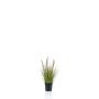 Pennisetum artificial YWAIN con panículas, beige-verde, 45cm